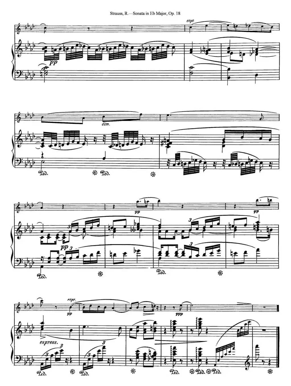 Violin Sonata in Eb Major Op.18（小提琴+钢琴伴奏）