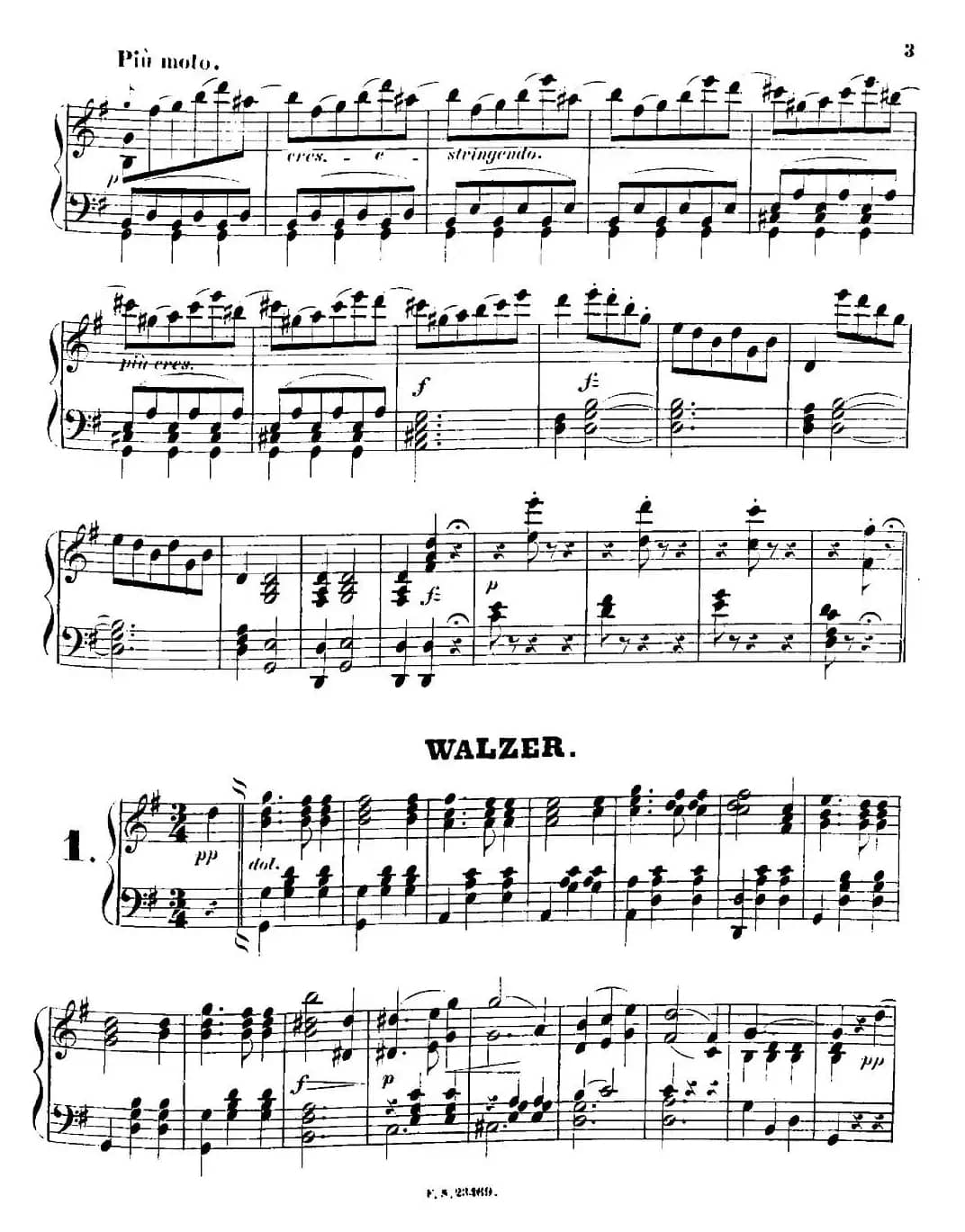 柠檬树花开的地方圆舞曲