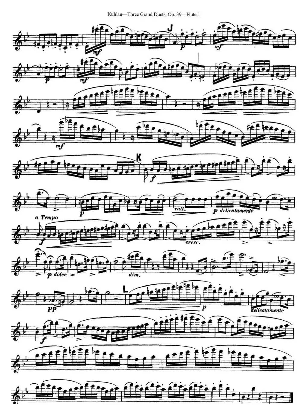 库劳长笛二重奏大练习曲Op.39——Flute 1（No.2）
