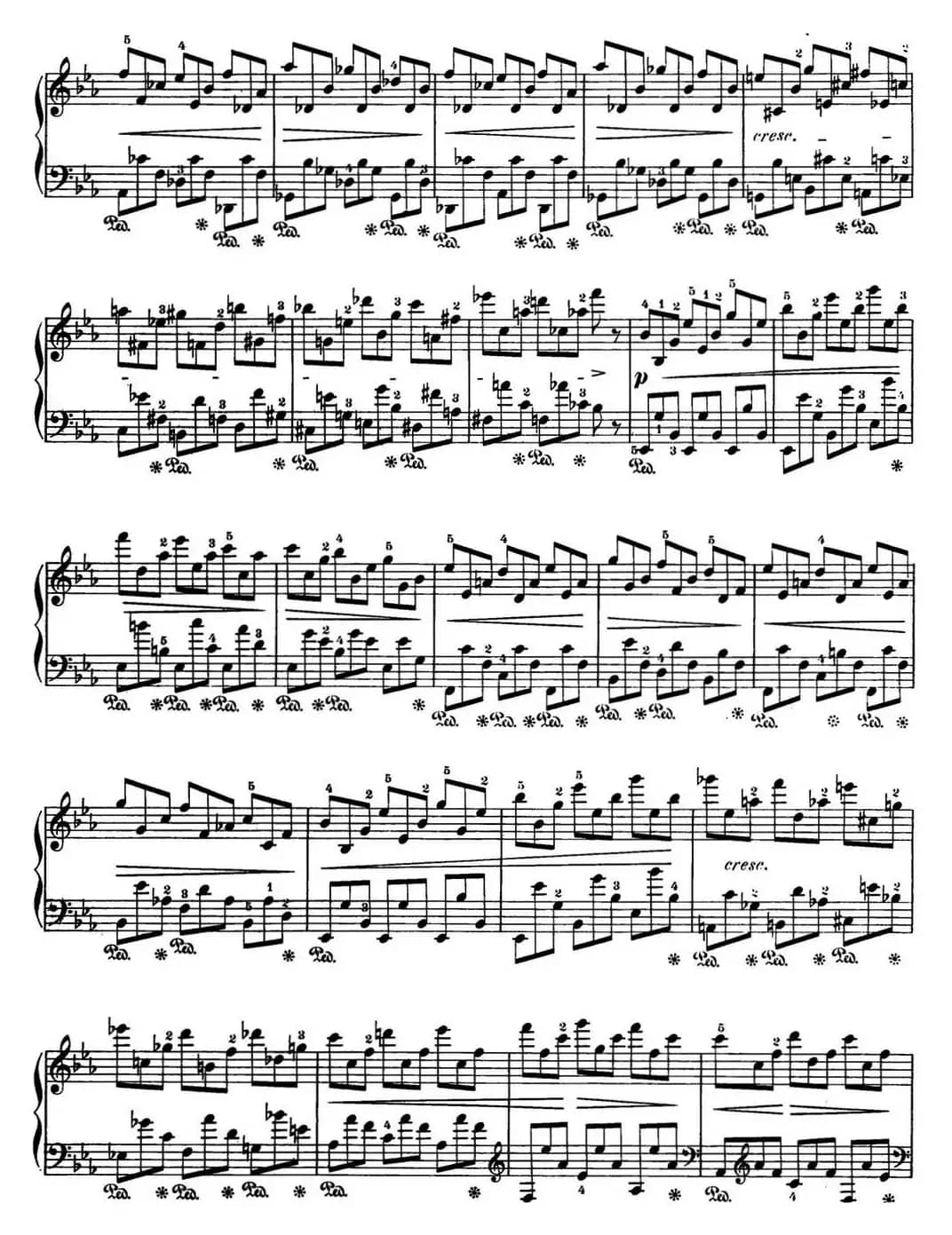 肖邦 24首钢琴前奏曲 Op.28 No.19 降E大调