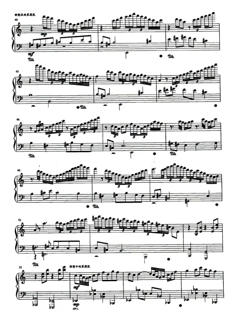 五个背景中的茉莉花