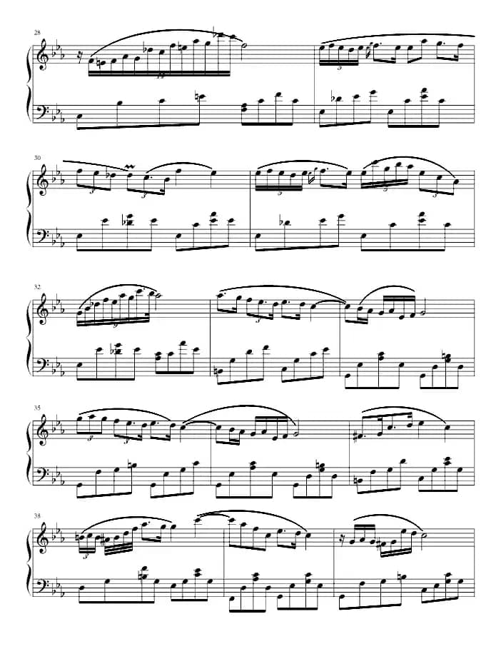 c小调夜曲（遗作 [追风少年制谱版]）