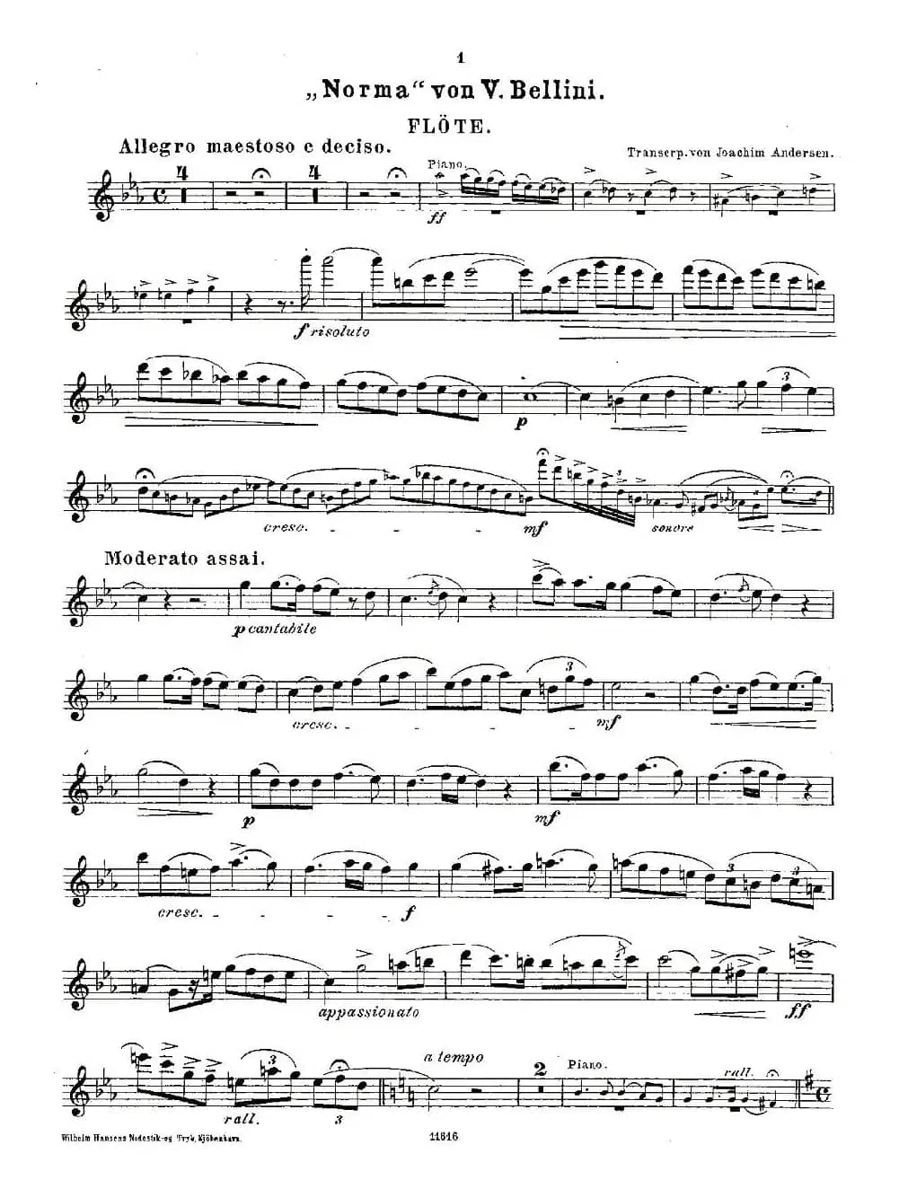 Opern-Transcriptionen.Op.45-2（长笛+钢琴伴奏）