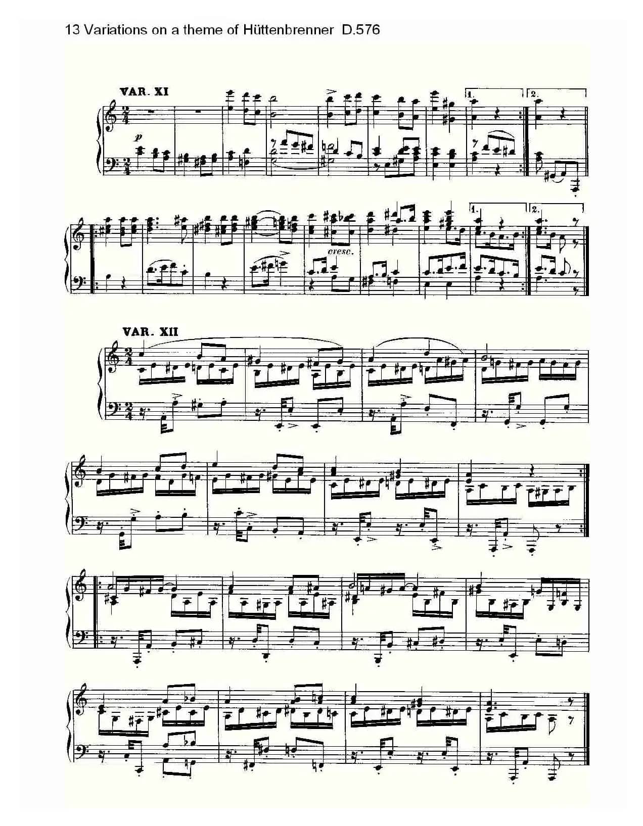 13 Variations on a theme of Hüttenbrenner D.576（主）