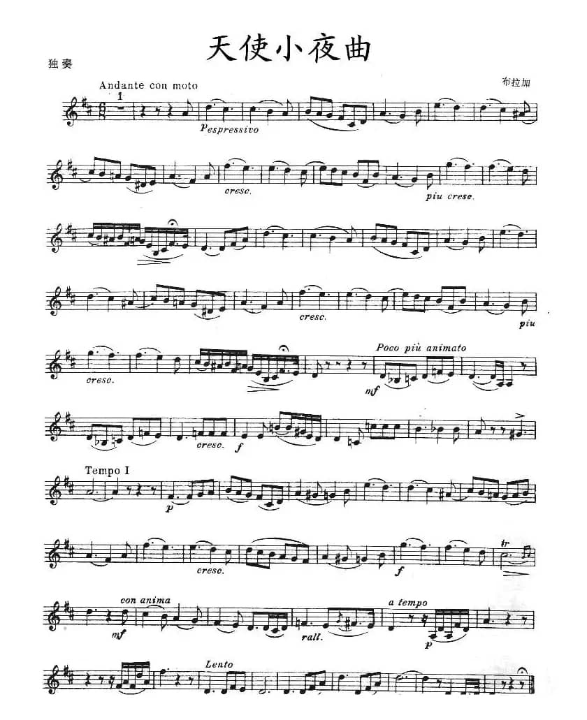 天使小夜曲