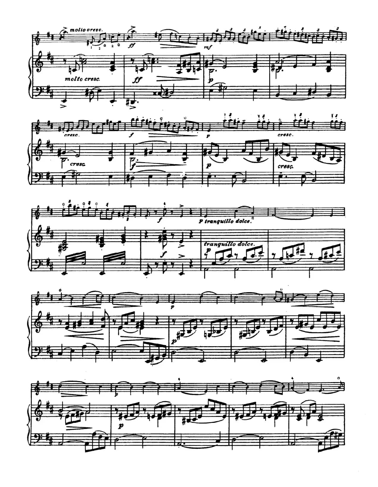 D大调学生协奏曲（塞茨作品第14号）