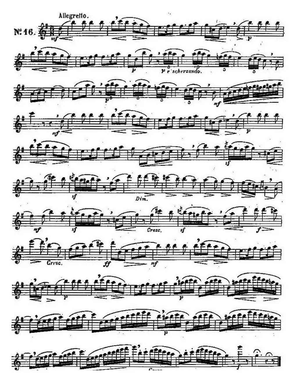 二十首练习曲作品131号（NO.16）