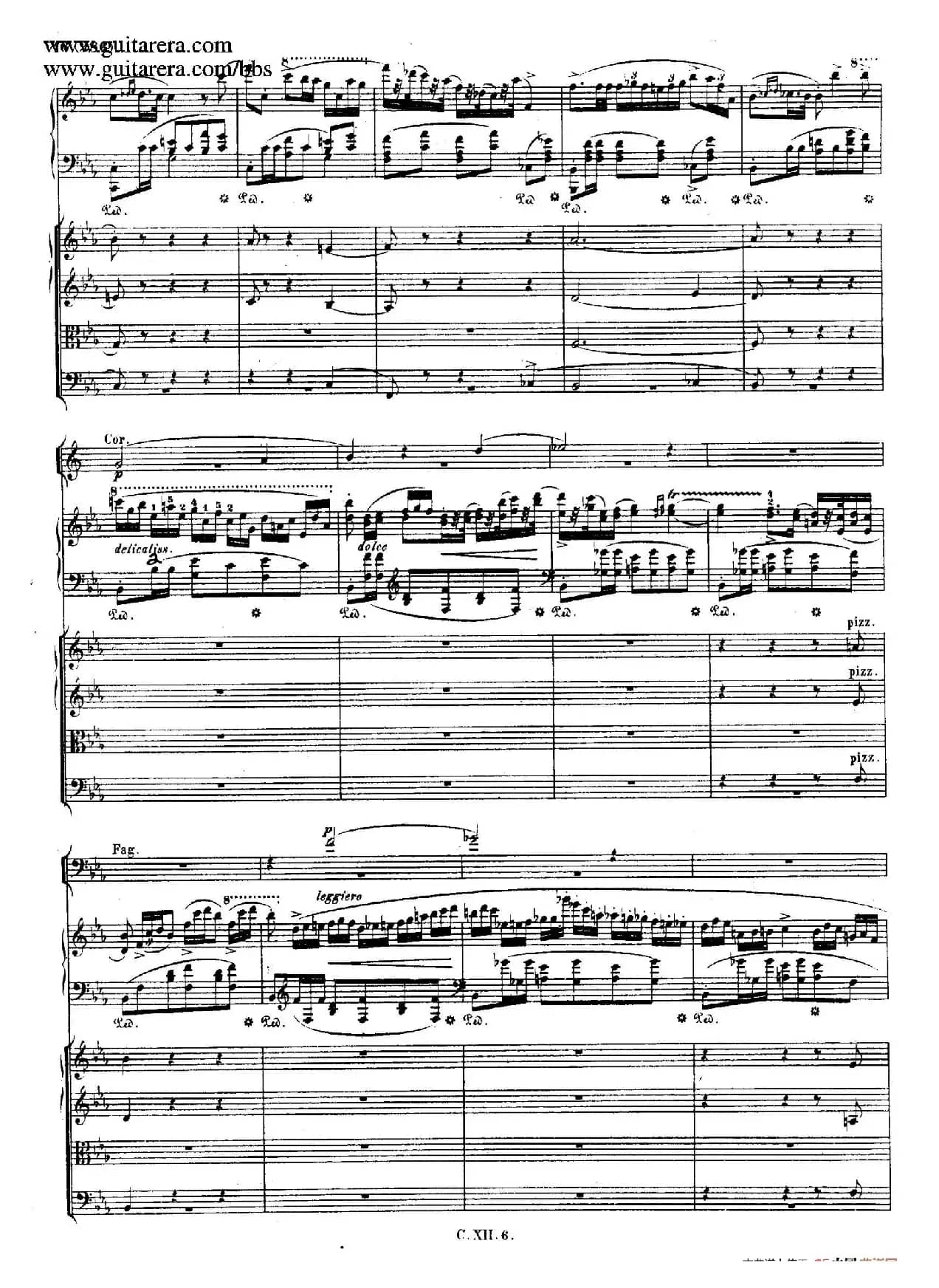 Grande Polonaise Brilliante Preceded by an Andante Spianato Op.22(平静的行板与华丽的波兰舞曲·总谱)