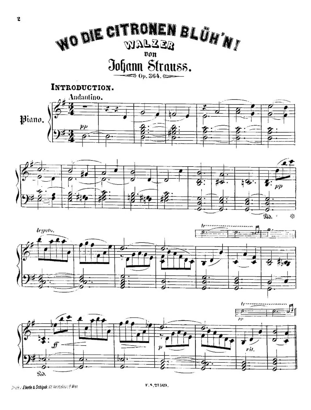 柠檬树花开的地方圆舞曲