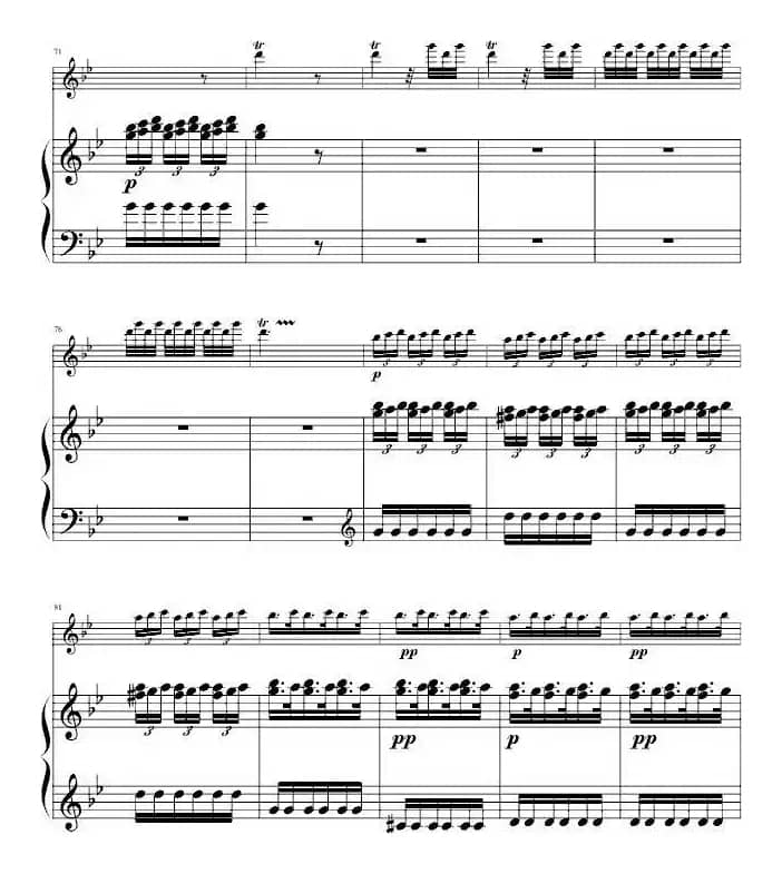 CONCERTO in G minor Summer（G小调协奏曲“夏”、小提琴+钢琴伴奏）