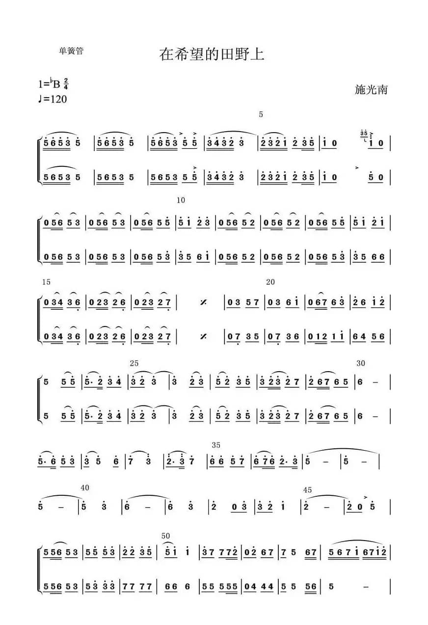 在希望的田野上（单簧管）