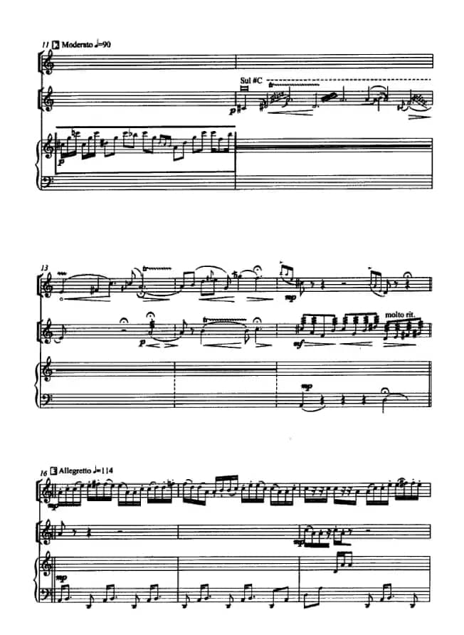 国风（箫、二胡、筝三重奏）