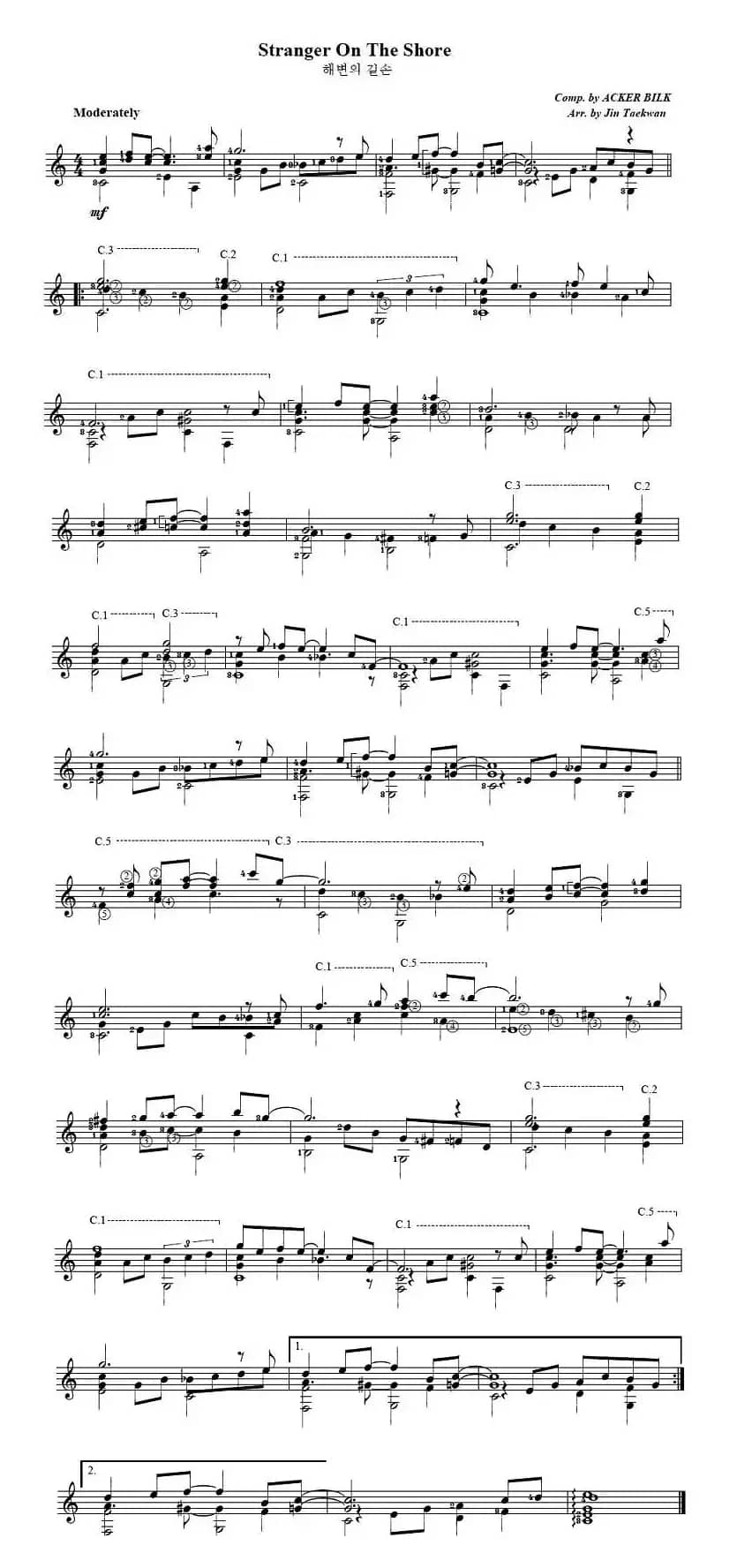 stranger on the shore（岸边的陌生人）