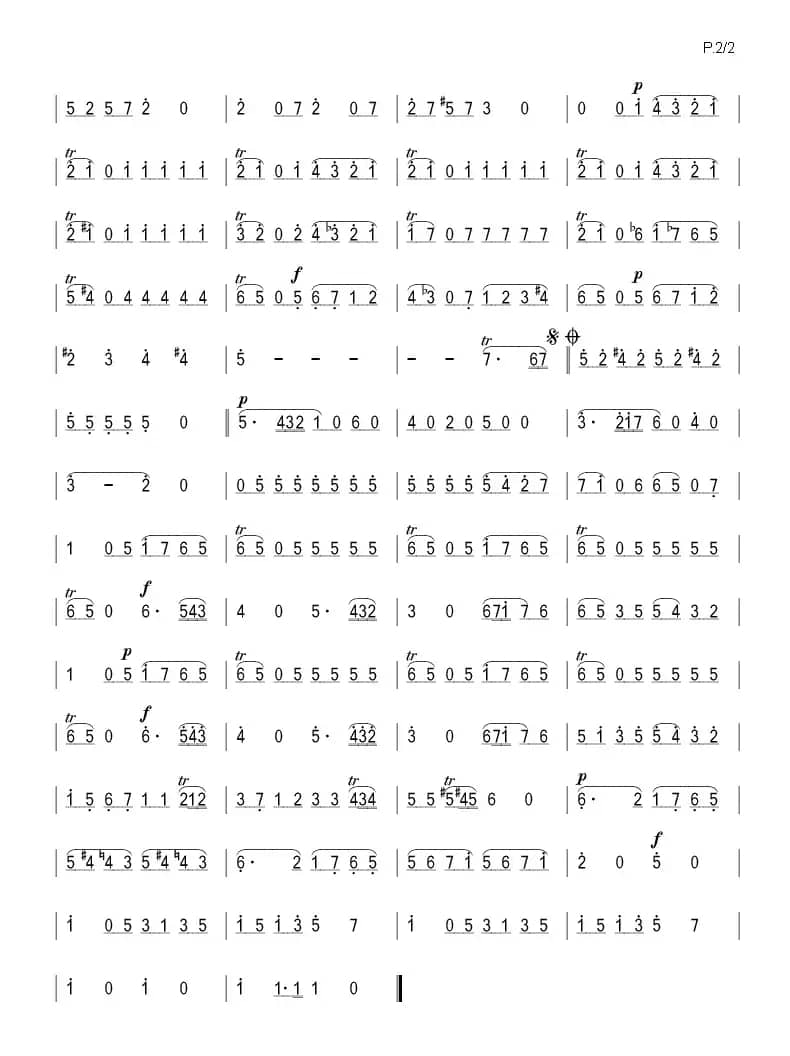 弦乐小夜曲（莫扎特作品 K.525）（箫）