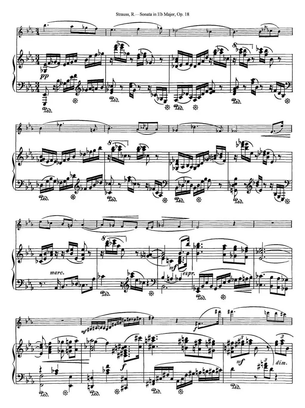 Violin Sonata in Eb Major Op.18（小提琴+钢琴伴奏）