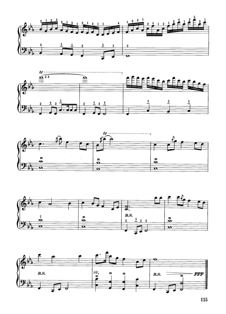 山丹丹开花红艳艳（张波、张信政改编版）