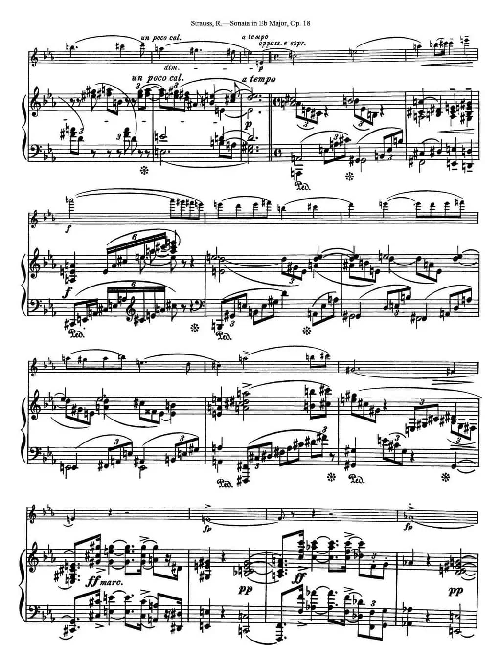 Violin Sonata in Eb Major Op.18（小提琴+钢琴伴奏）