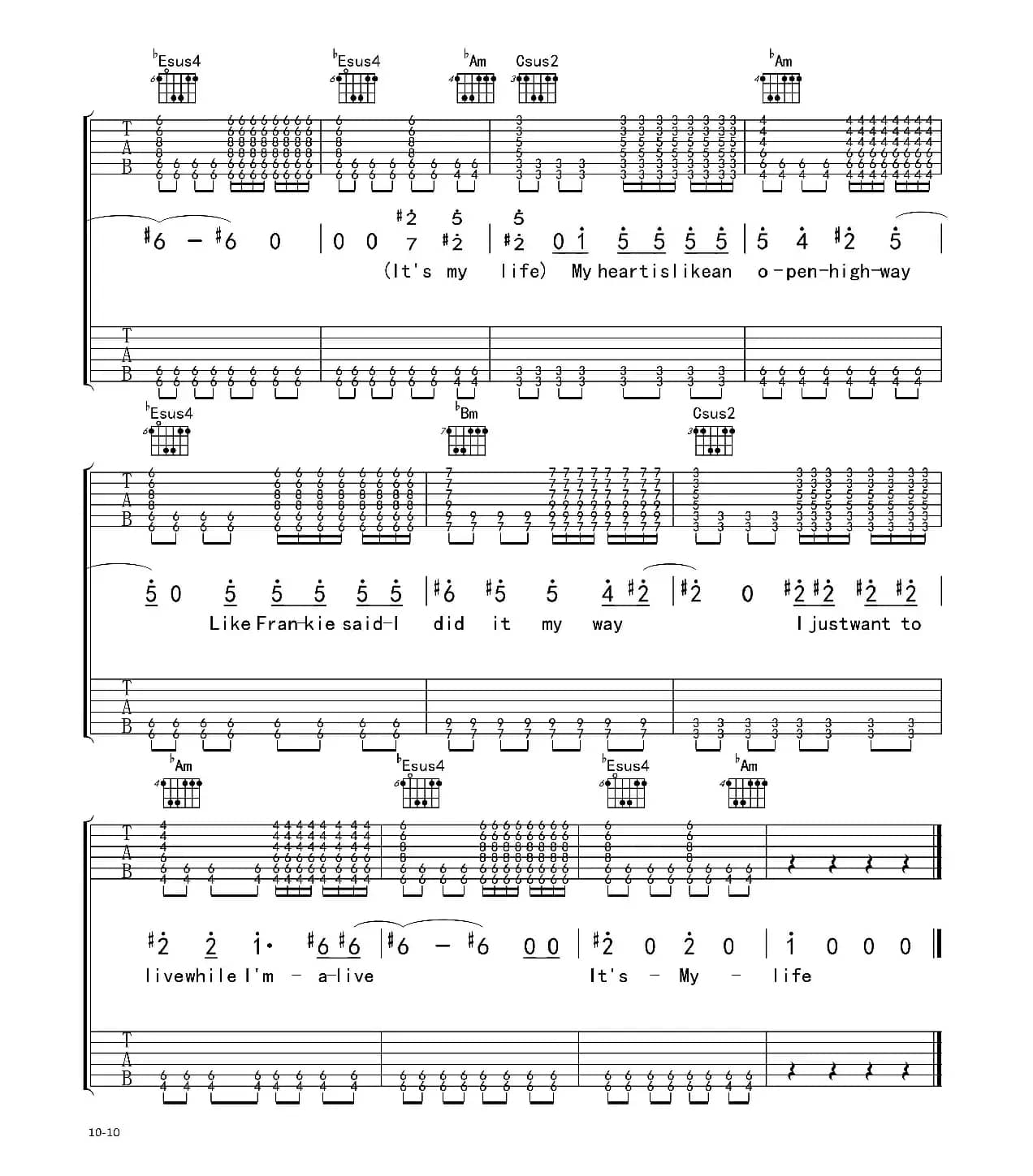 It's my life（电吉他 双吉他版）