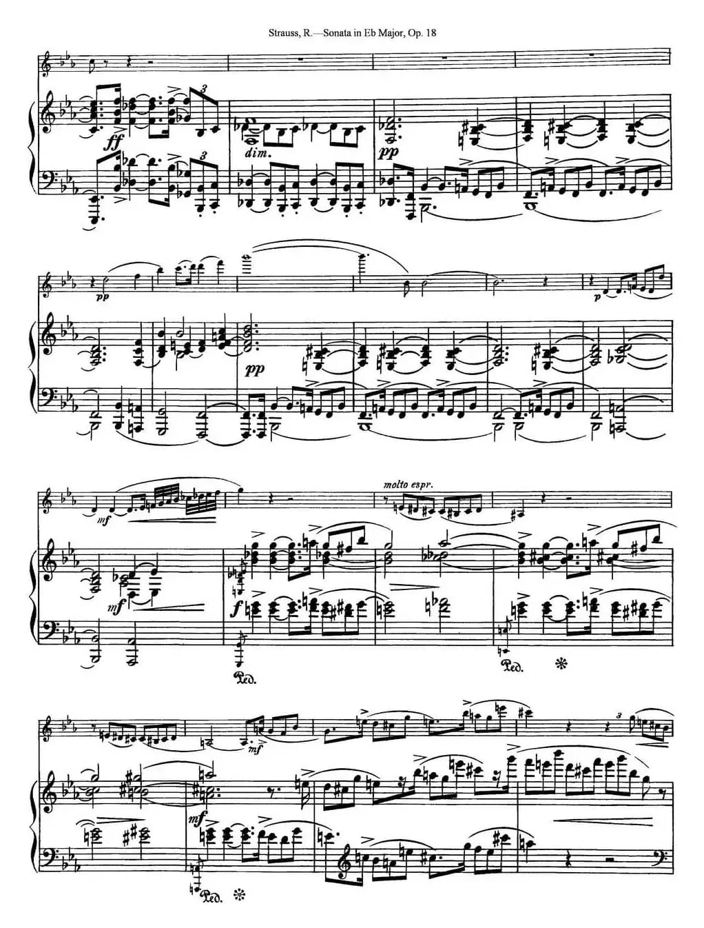 Violin Sonata in Eb Major Op.18（小提琴+钢琴伴奏）