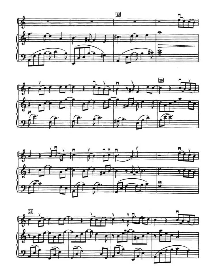 分手吧（选自《悲伤恋歌》）（小提琴+钢琴伴奏）