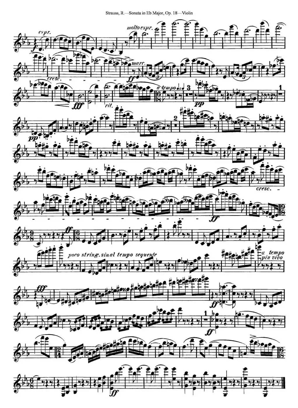 Violin Sonata in Eb Major Op.18