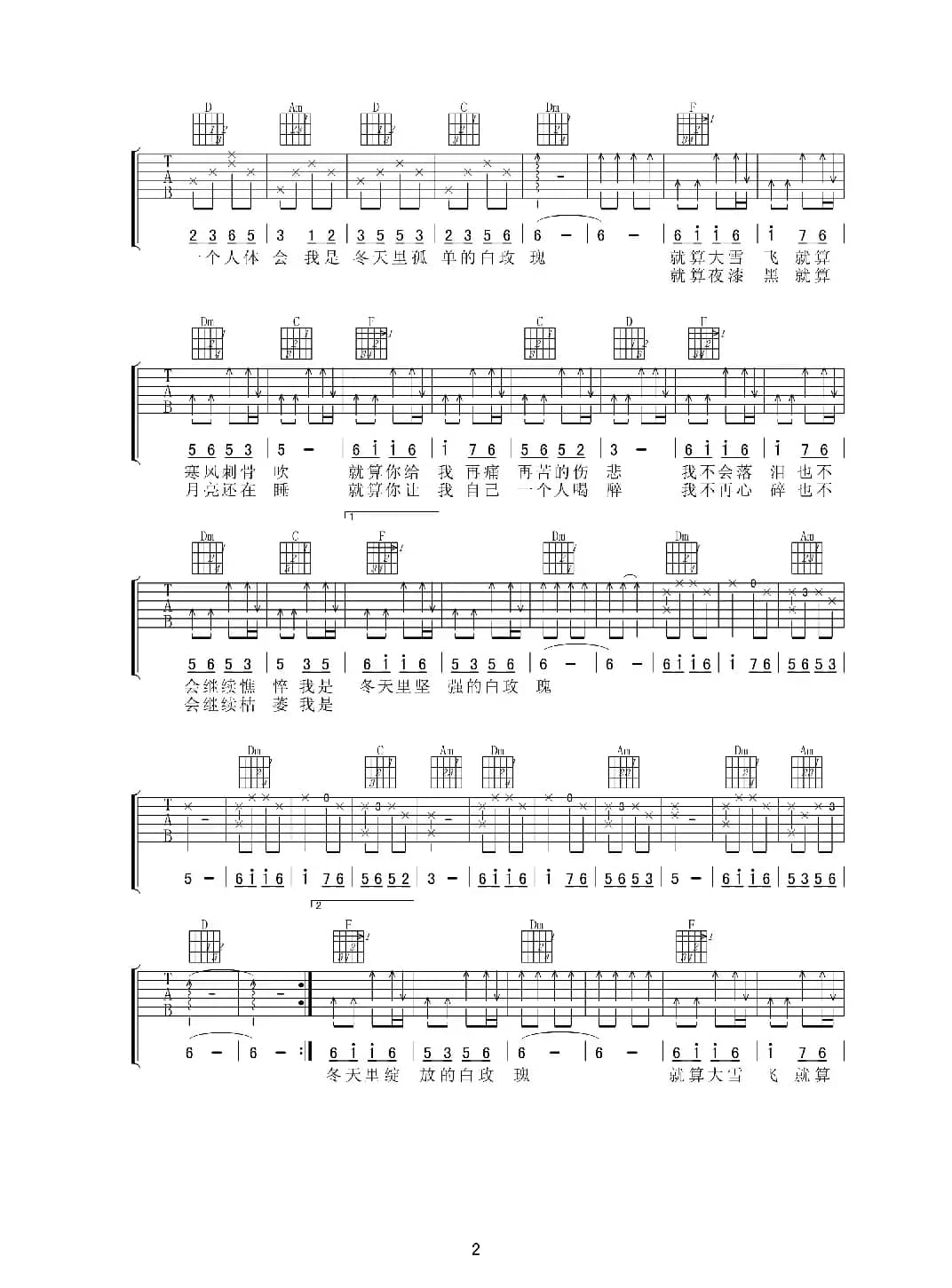 冬天里的白玫瑰