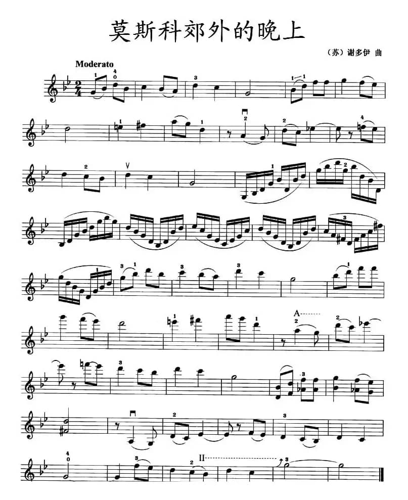 莫斯科郊外的晚上