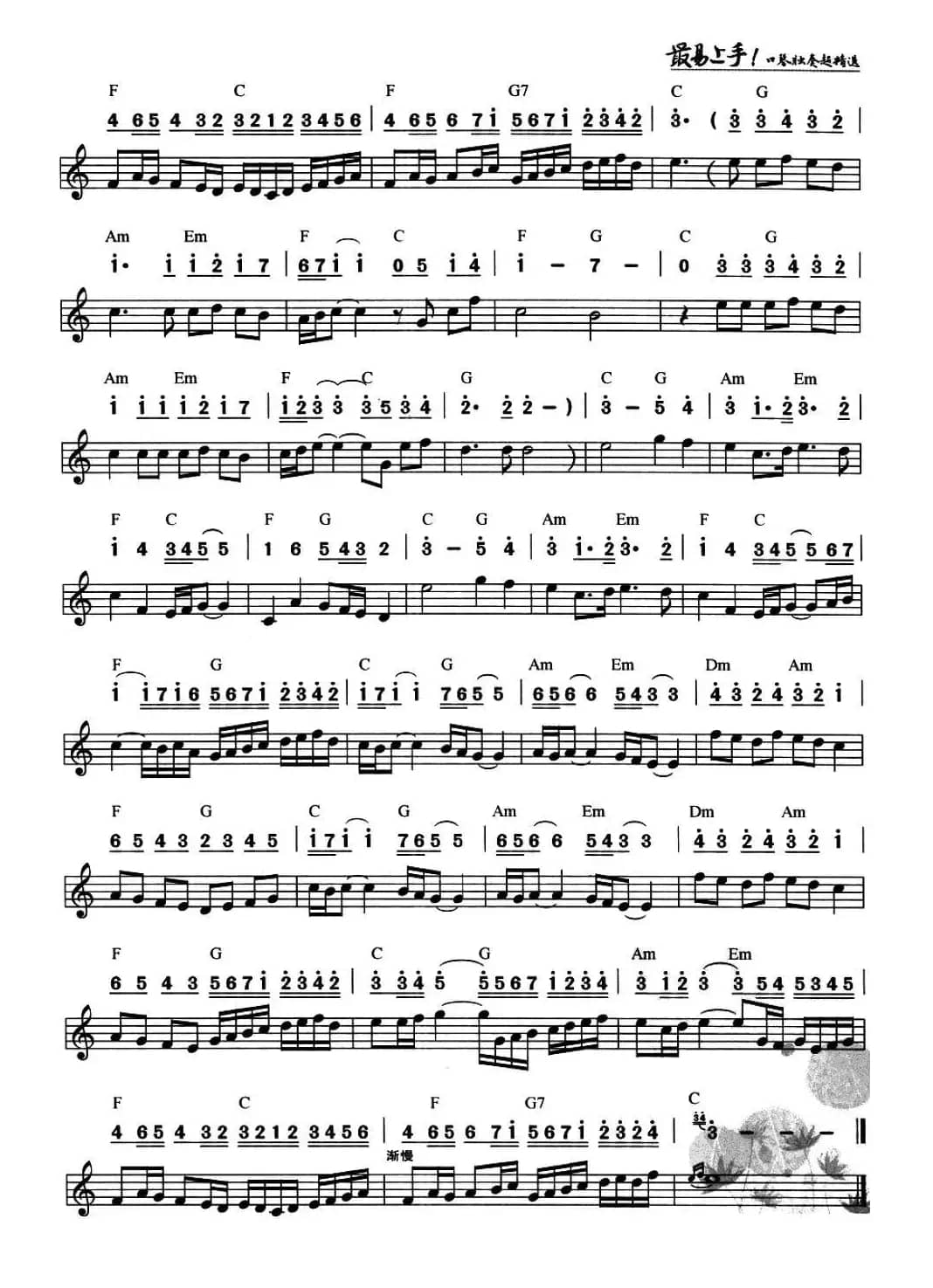 卡农（线简谱混排版）