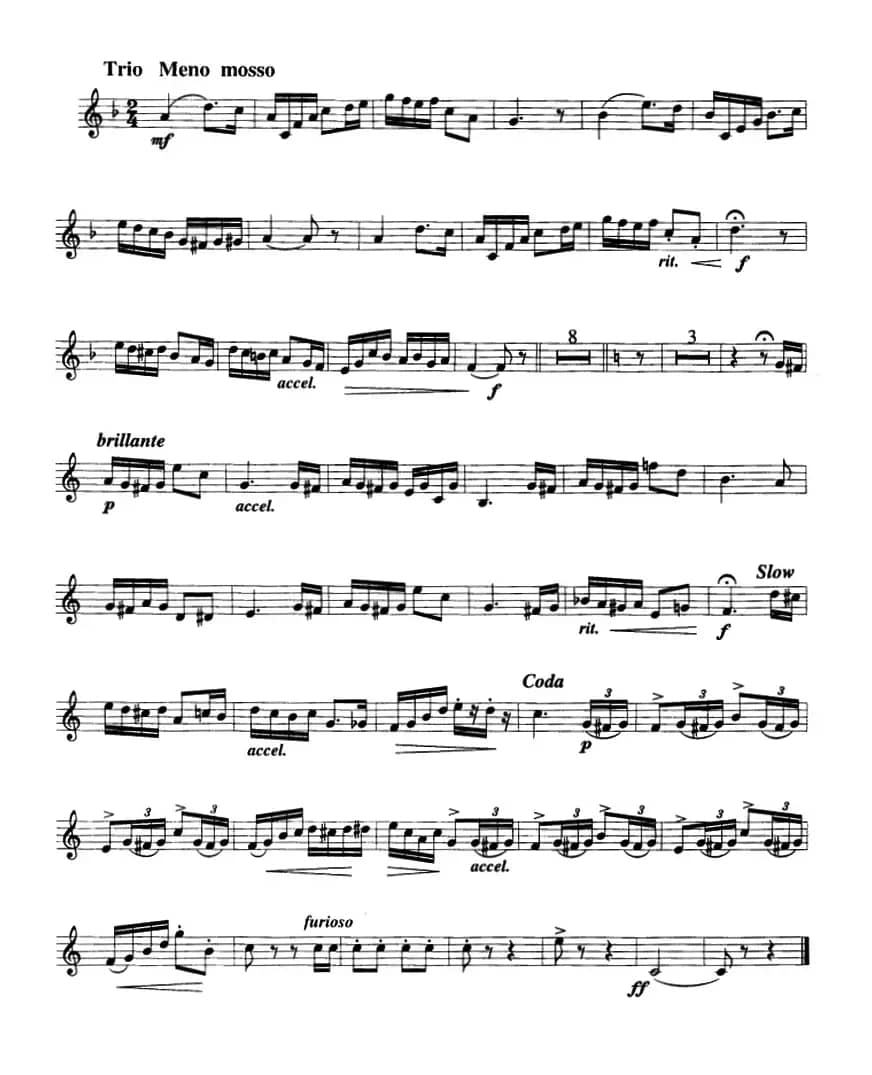 山楂树（小号）