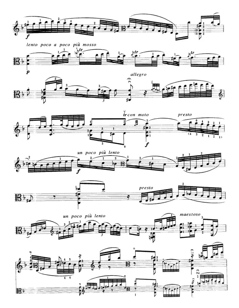 变音体系幻想曲（中提琴）