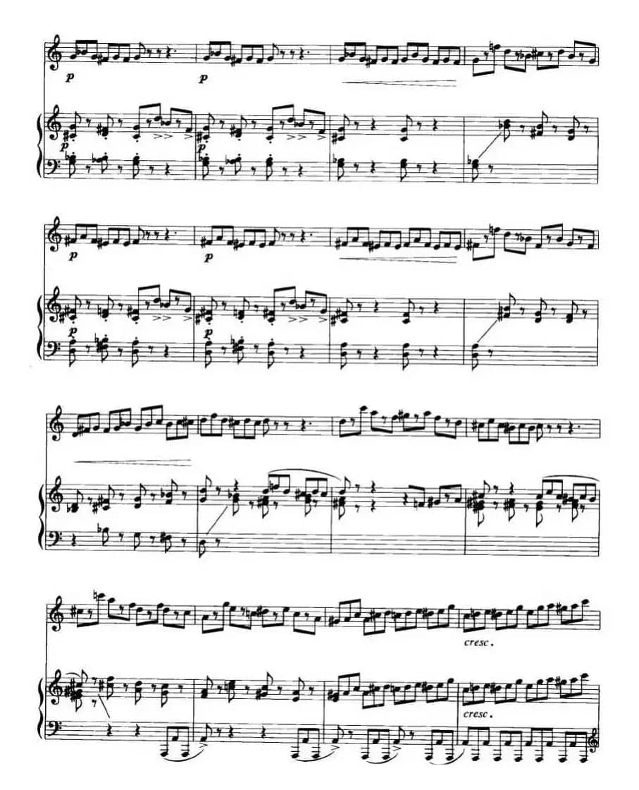 第二二胡狂想曲（二胡+钢琴伴奏）