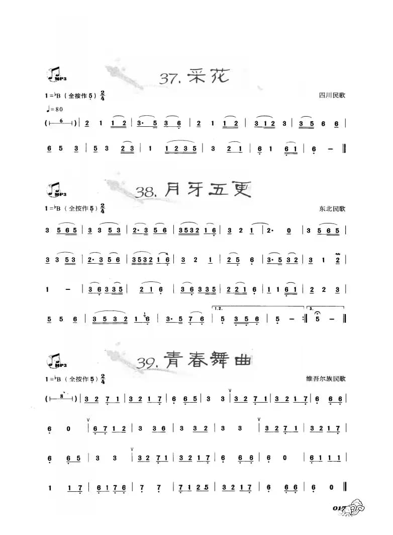 葫芦丝曲精选：采花 月芽五更 青春舞曲