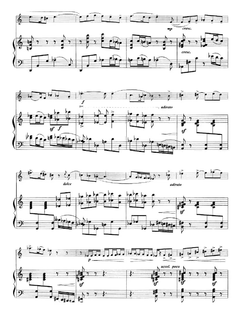 诙谐曲（小号+钢琴伴奏）