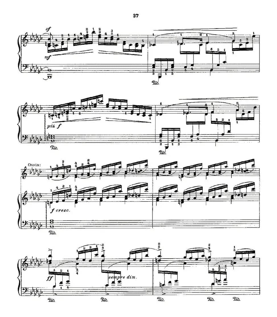 肖邦《练习曲》Fr.Chopin Op.10 No8-2