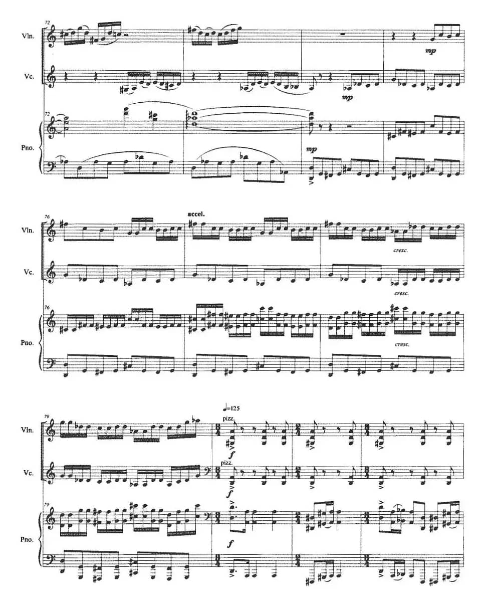 跳弦（小提琴+大提琴+钢琴伴奏）