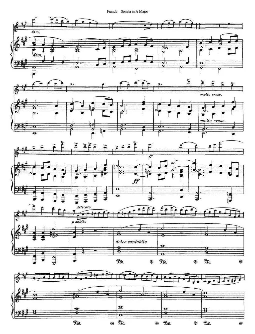 Franck Sonata in A Major（小提琴+钢琴伴奏）