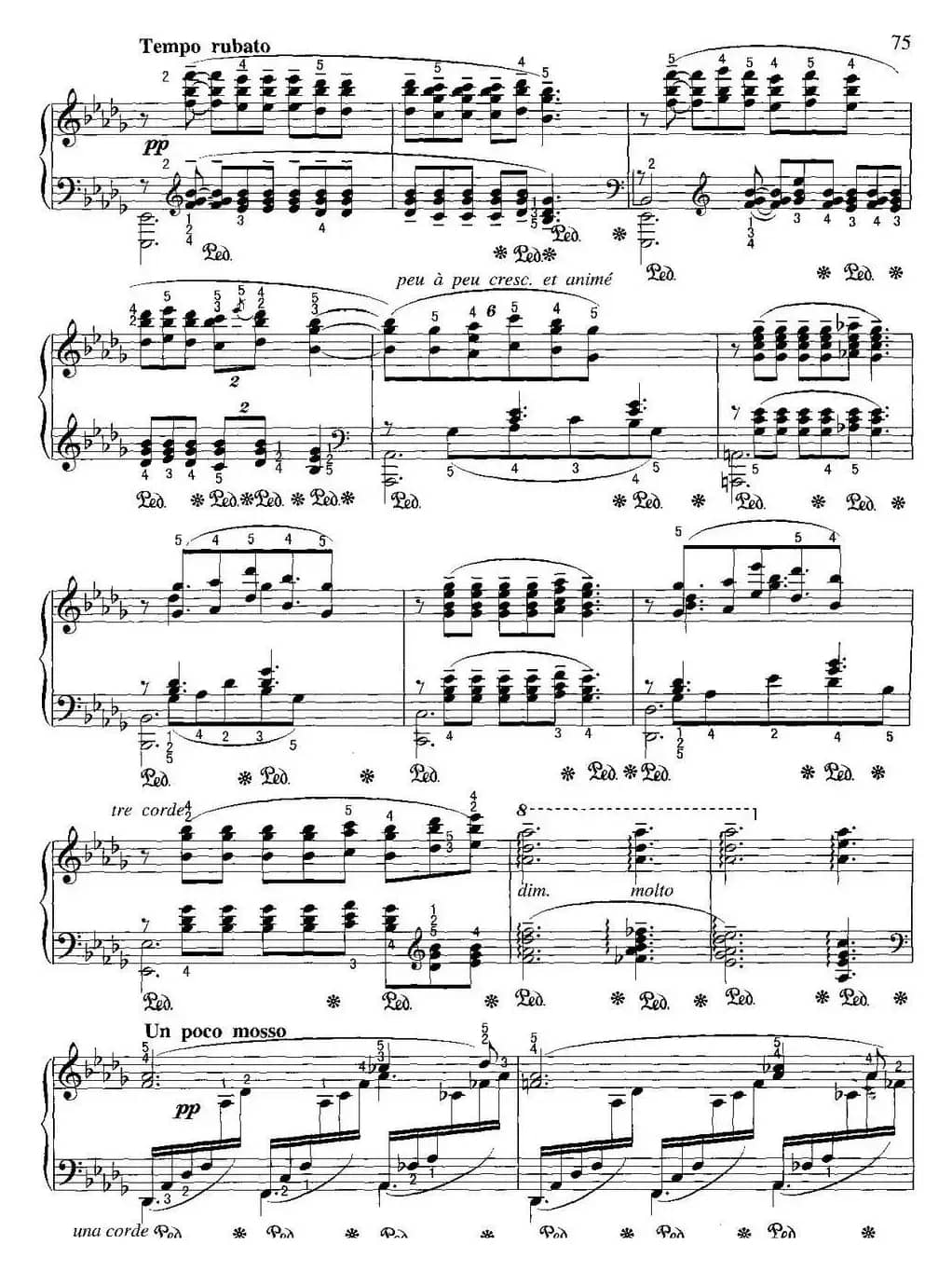 不可不弹的世界钢琴名曲：月光