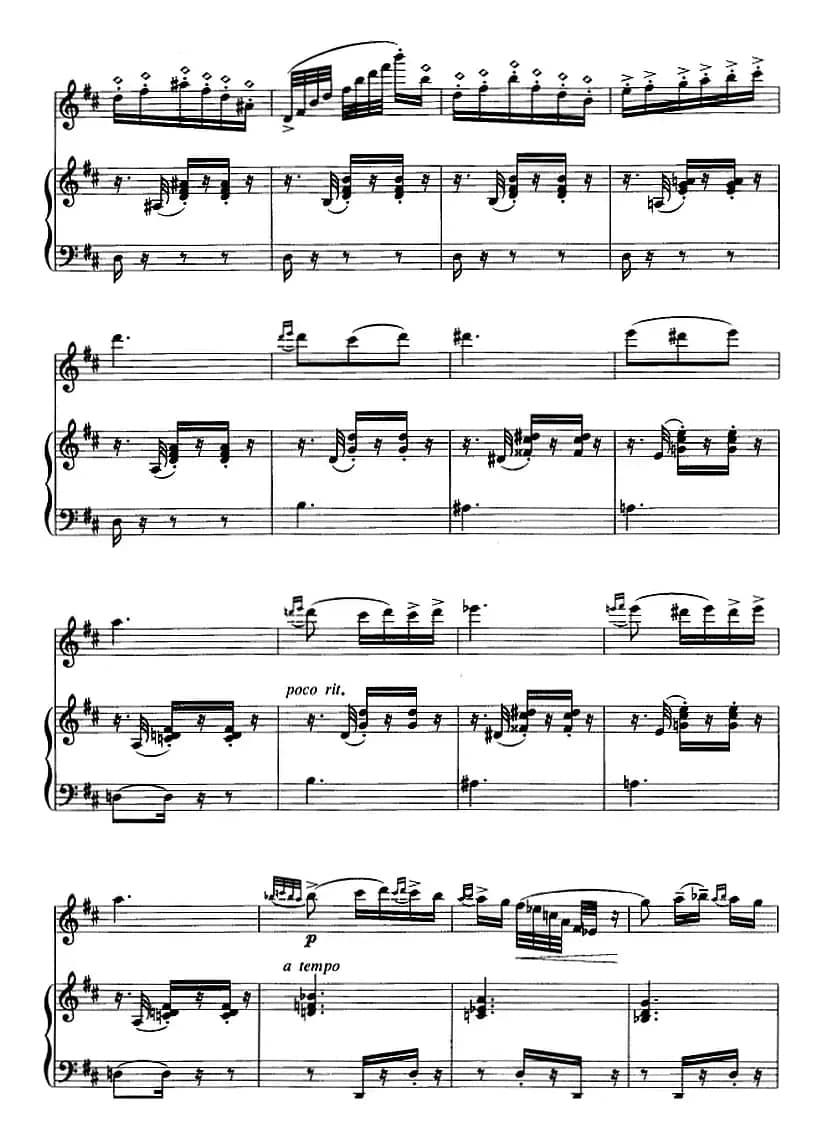 卡门主题幻想曲（二胡+钢琴伴奏）