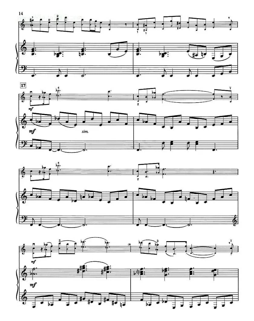 THE CHAMBER OF SECRETS（小提琴+钢琴伴奏）