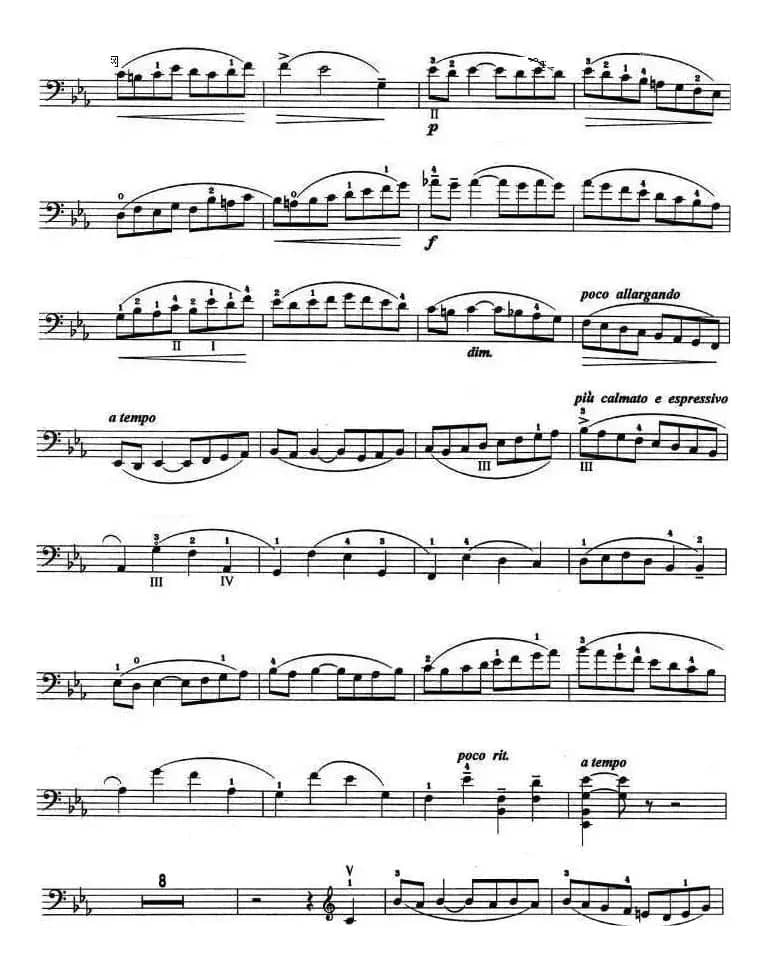 C小调协奏曲（第一乐章）