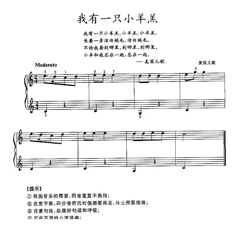 我有一只小羊羔