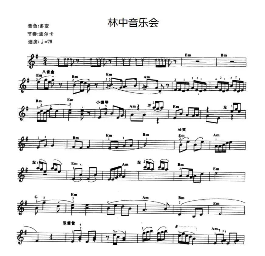 林中音乐会