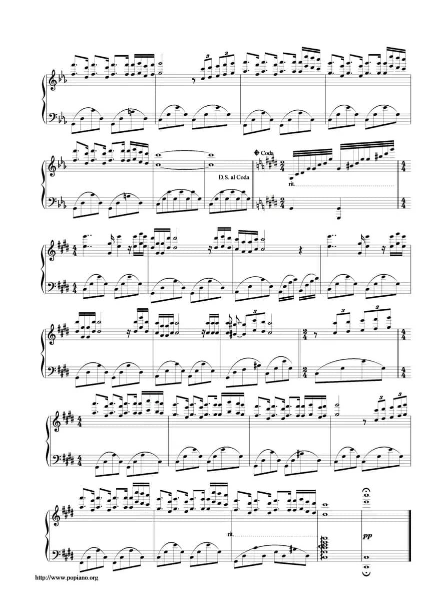 匈牙利奏鸣曲（hungarian sonata）