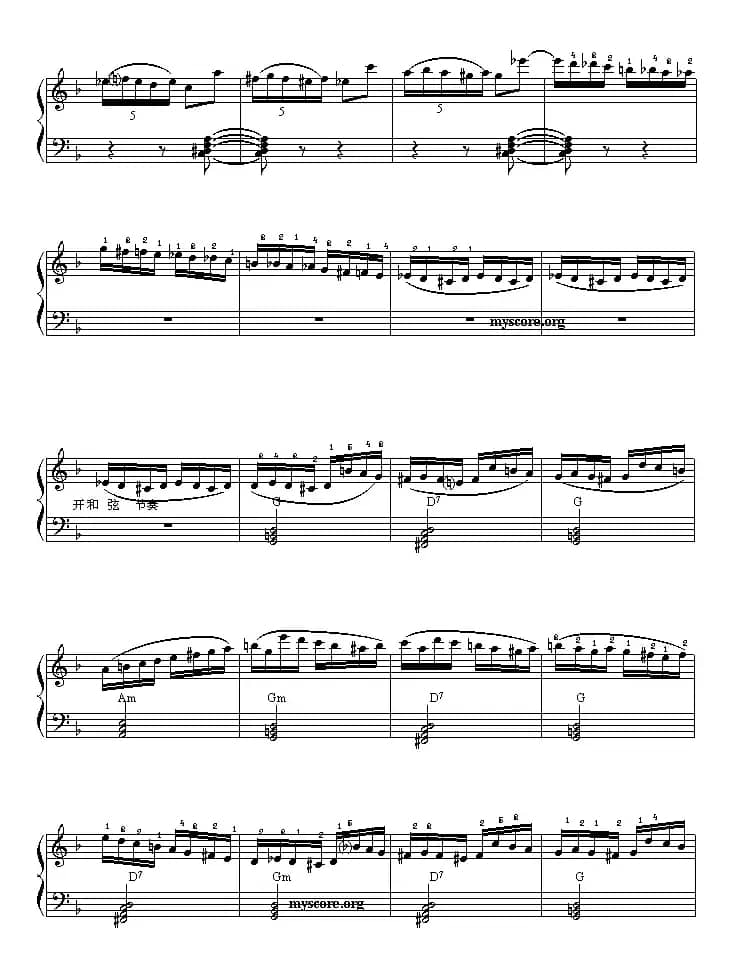 快板（D大调手风琴协奏曲第三乐章）