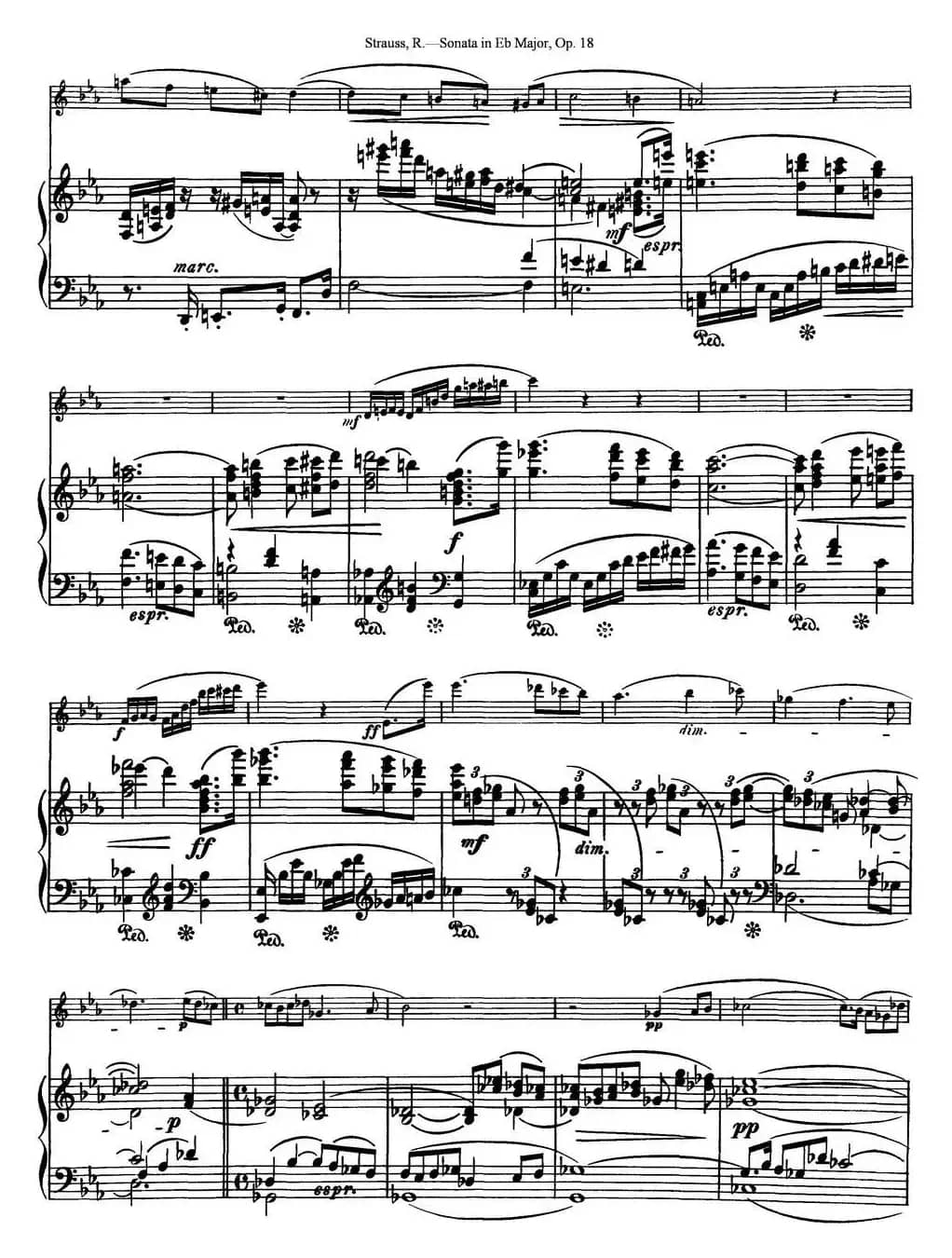 Violin Sonata in Eb Major Op.18（小提琴+钢琴伴奏）