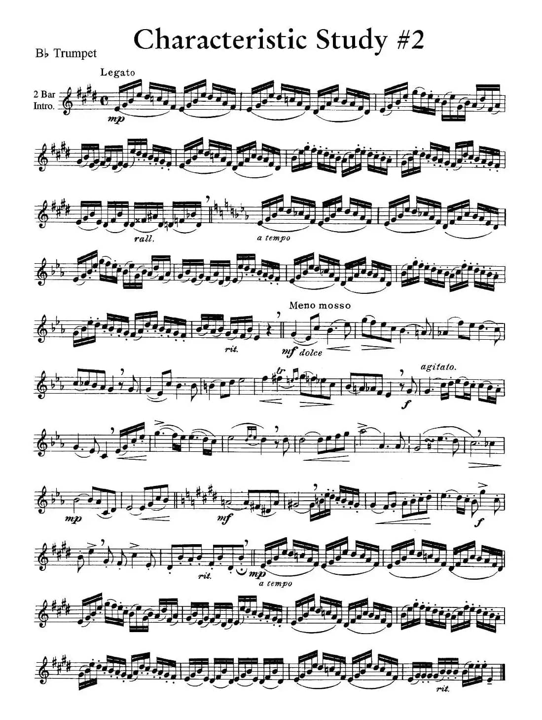 Characteristic Study #2 （小号）