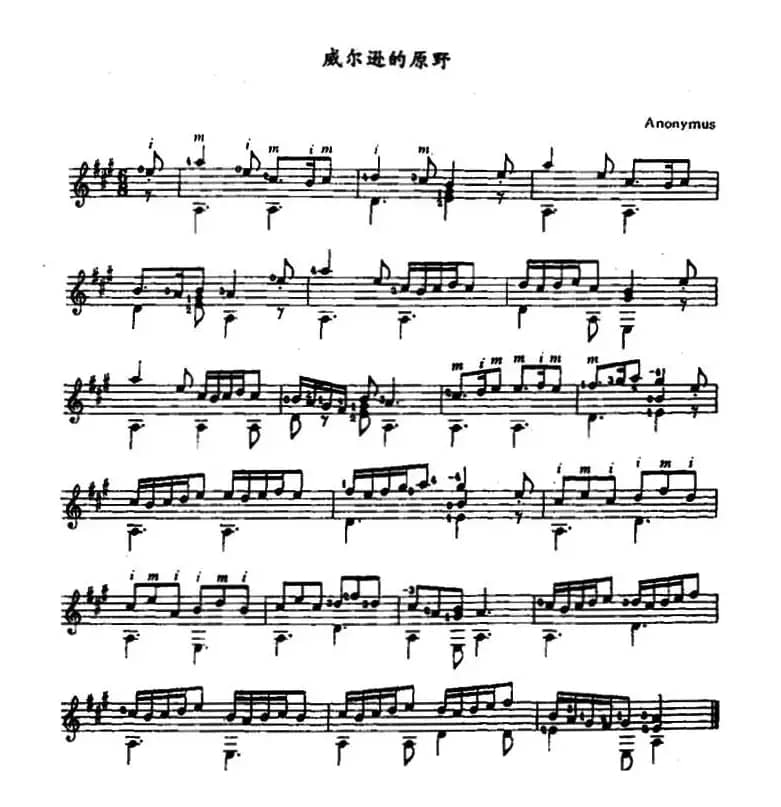 威尔逊的原野（古典吉他）