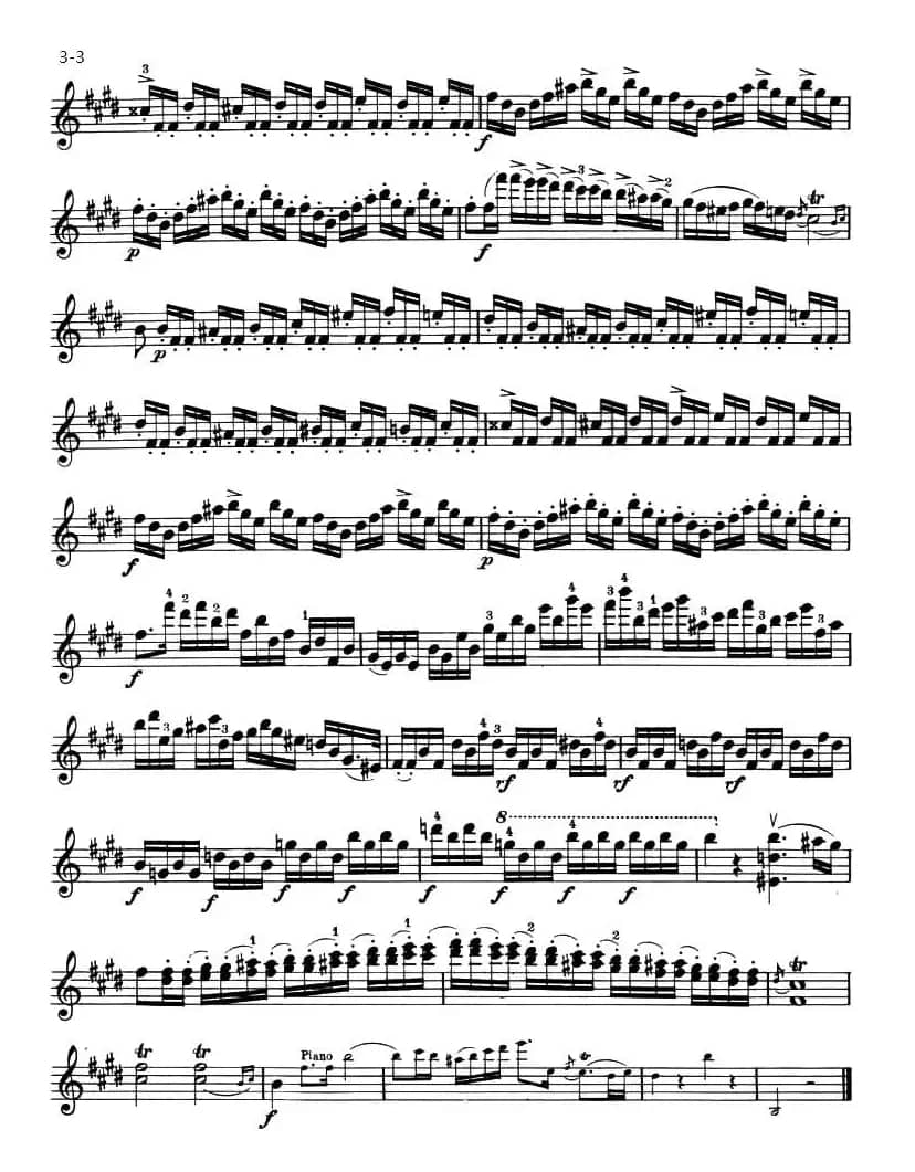 ALLEGRO MAESTOSO（庄严的快板）