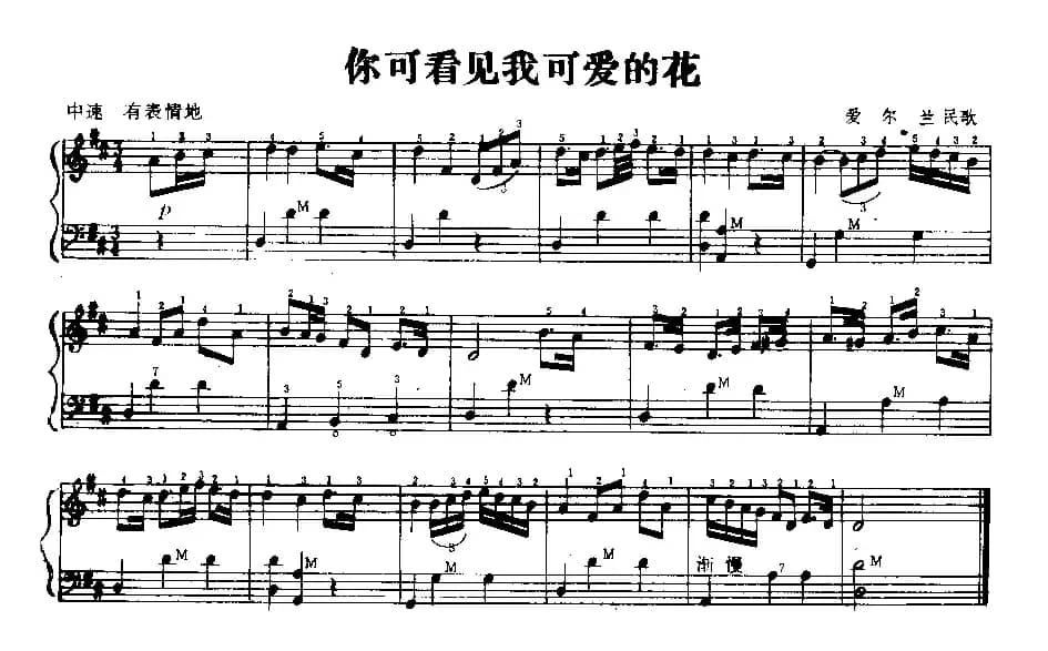 你可看见我可爱的花（爱尔兰民歌）