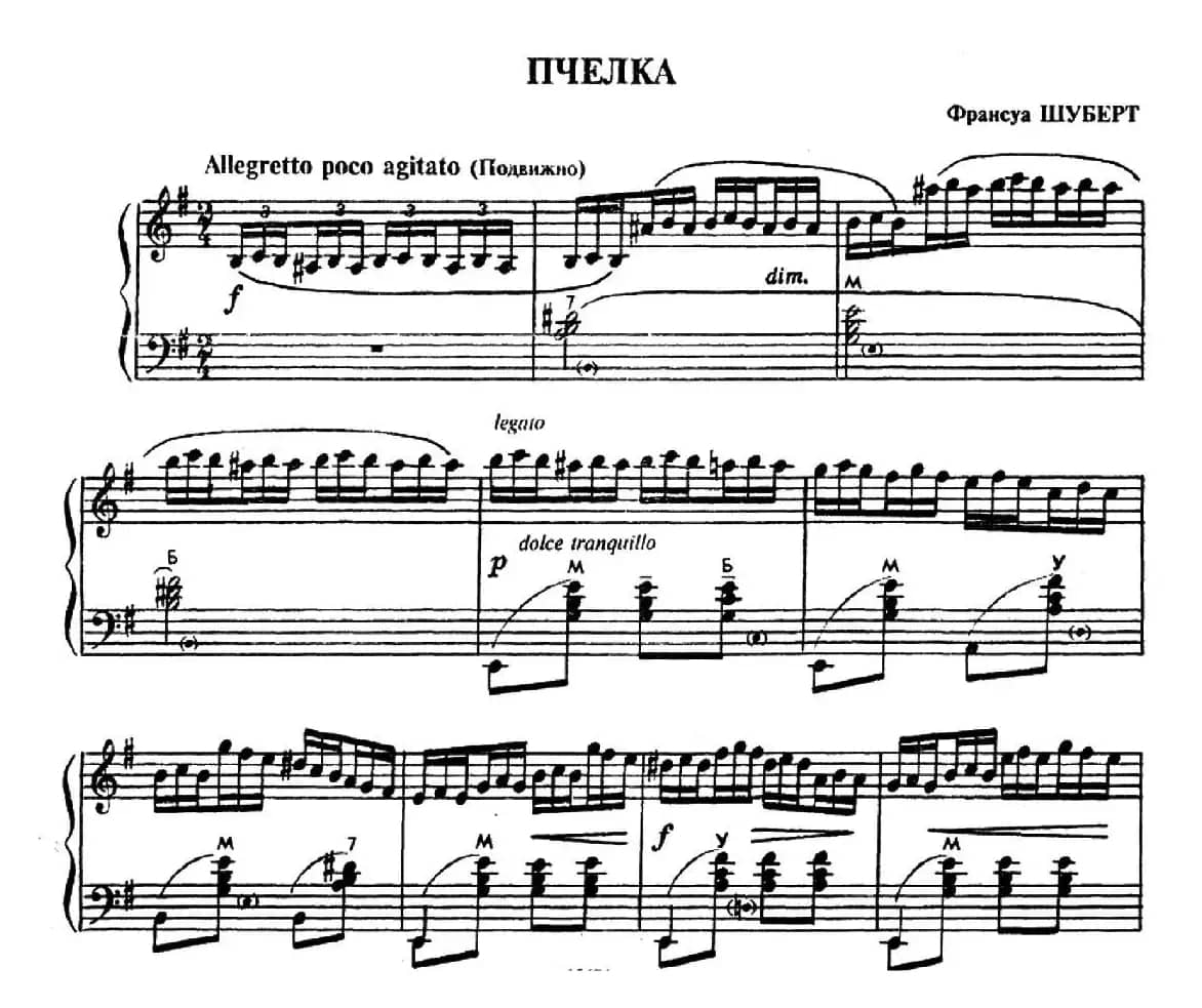 蜜蜂（Пчелка）